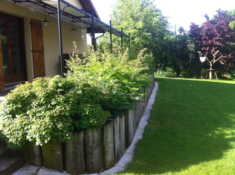 Jardinage en tout genre - Page 3 Jardin19