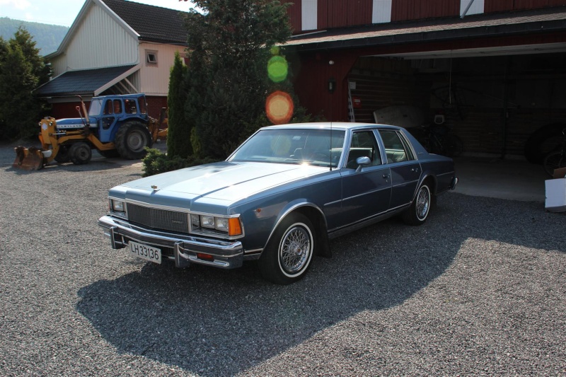 Installation of Eibach Pro-Kit Lowering Springs on a 77 Caprice Bilde_10