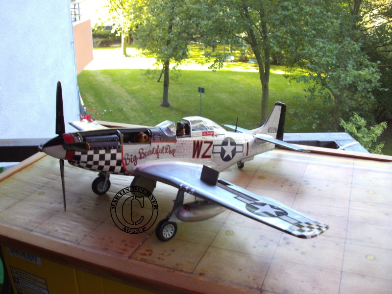 BIG BEAUTIFUL DOLL P-51D Mustang 1/24 P-51_d16
