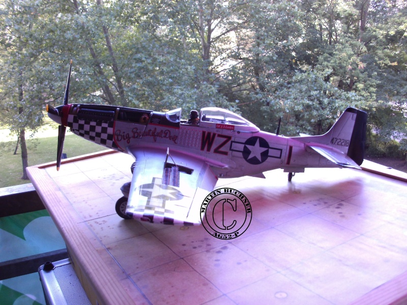 BIG BEAUTIFUL DOLL P-51D Mustang 1/24 P-51_d17