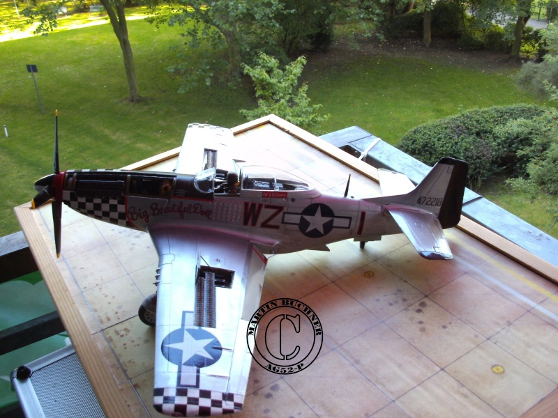 BIG BEAUTIFUL DOLL P-51D Mustang 1/24 P-51_d19