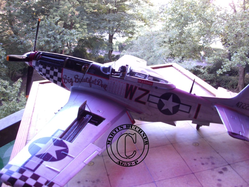 BIG BEAUTIFUL DOLL P-51D Mustang 1/24 P-51_d24
