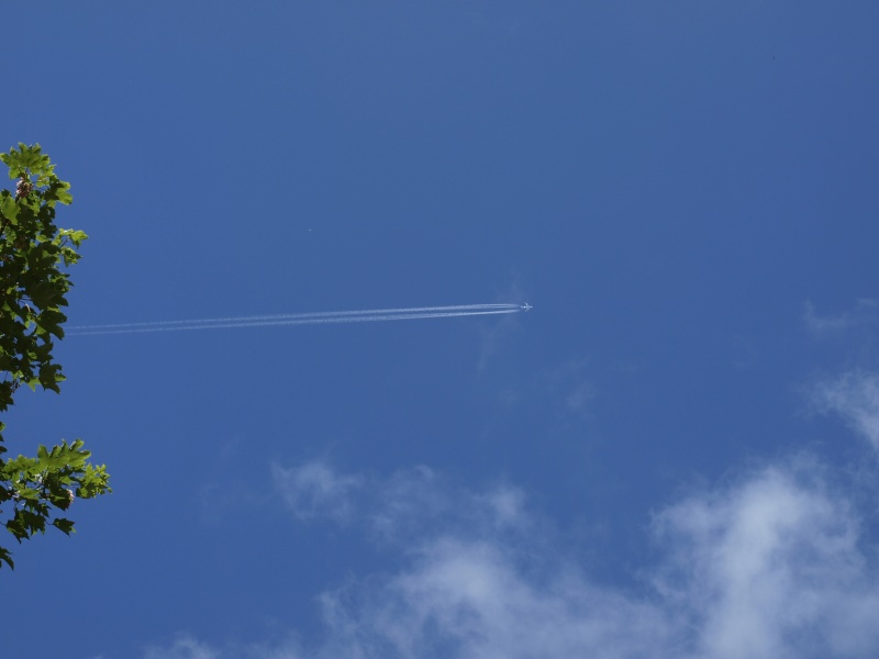 Please only post CHEMTRAIL related topics here  _6211110