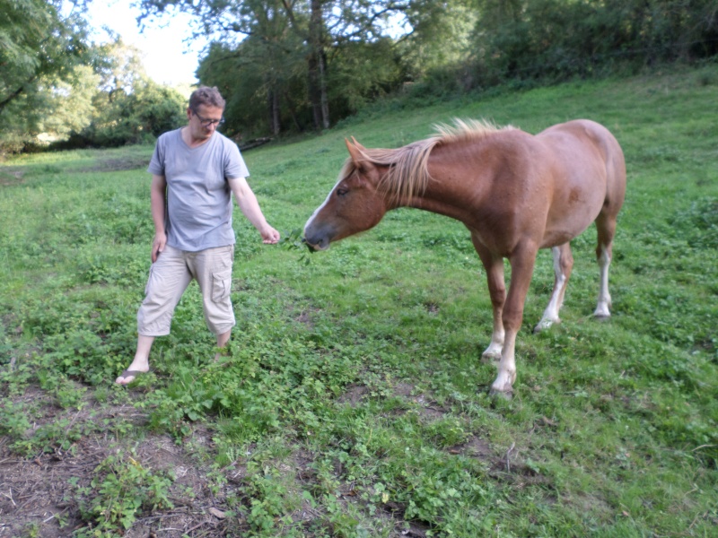 (Dpt 15)  Dune,  ONC Selle,  Sauvée par equicordage !!! (Juin 2014) - Page 3 Sam_0210