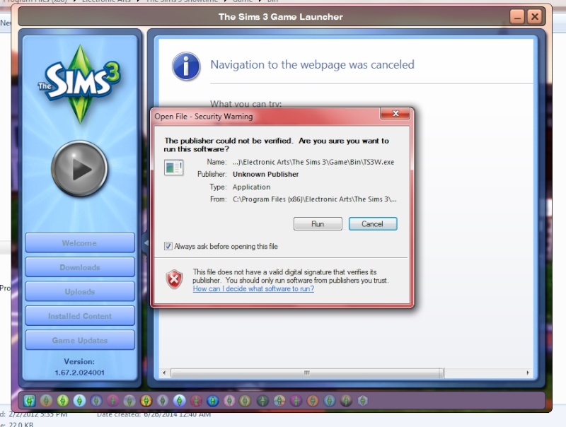 Crashing At Start Up Sims10