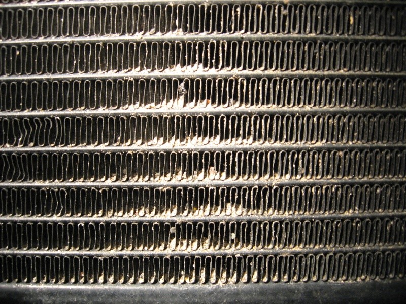Cleaning fins of the Radiator Img_4613