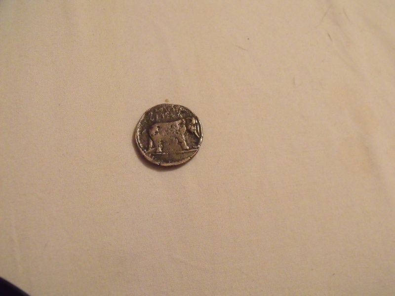 Monnaie Numide de JUBA I Dscf2215