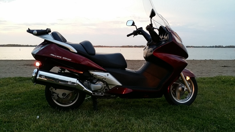 Please submit a picture of your Silver Wing - Page 2 20140713
