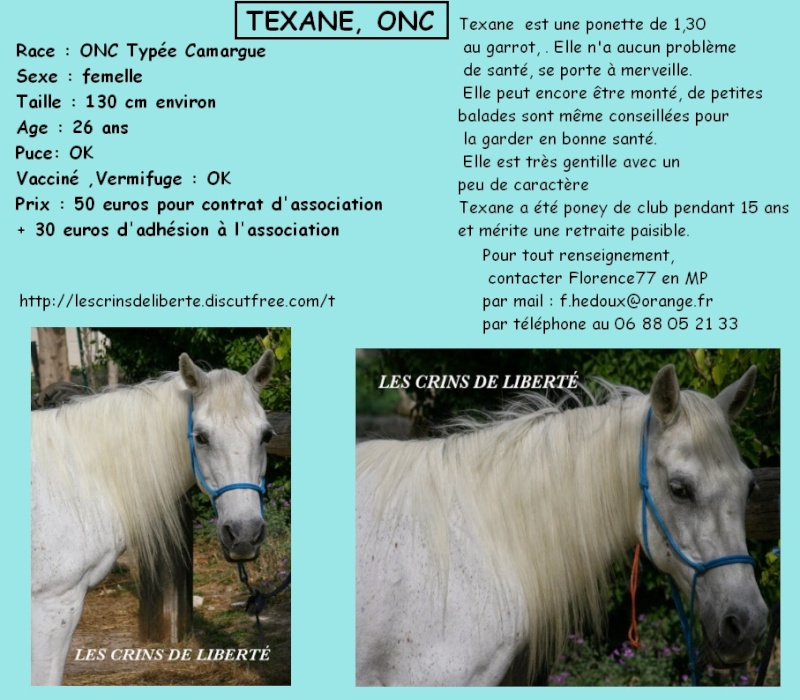 Dépt 84 TEXANE ONC Poney 26 ans réservée par Yoan (2014)Partie * Les_cr62