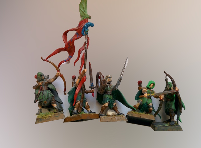 [Vente][1500-2000 pts]Armée elfes sylvains Gardes12