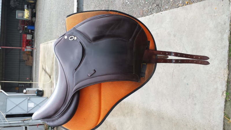 Vends selle d'endurance Forestier Dynamic  20140710