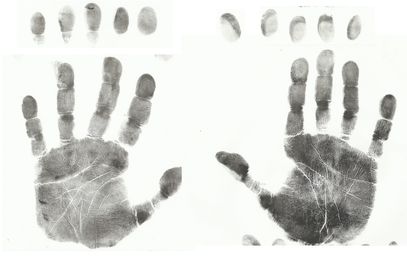 Life purpose and fingerprints Hands_10