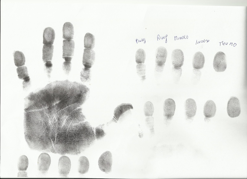 Life purpose and fingerprints Left_h10