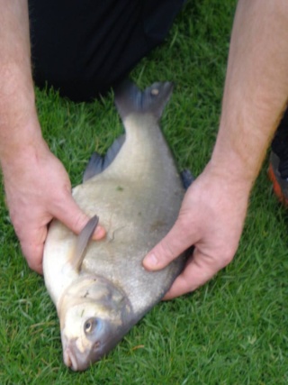 Mon loisir la pêche  Heleci10