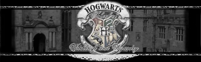 Hogwarts - Where true magic happens Hogwar11