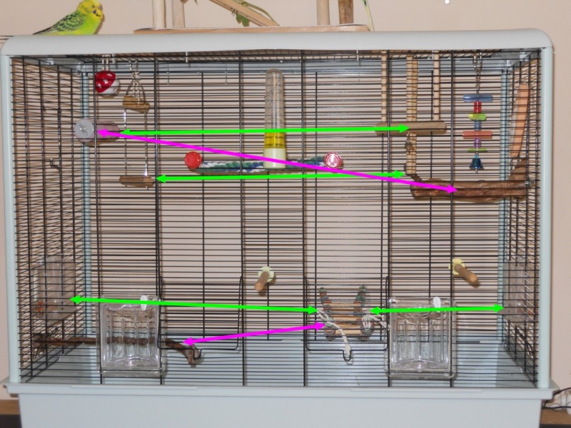 Votre opinion sur ce modèle de cage Ferplast Dscn4210