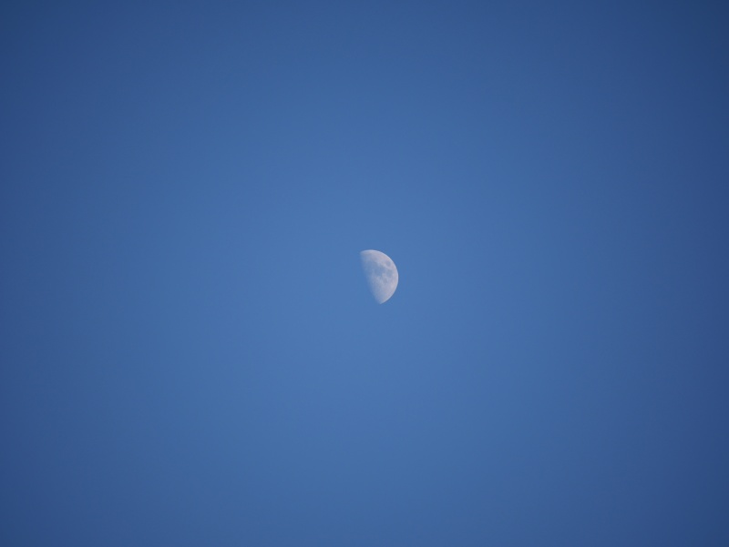 Ma première lune : une cata ! Âme sensible s'abstenir ! P1070115