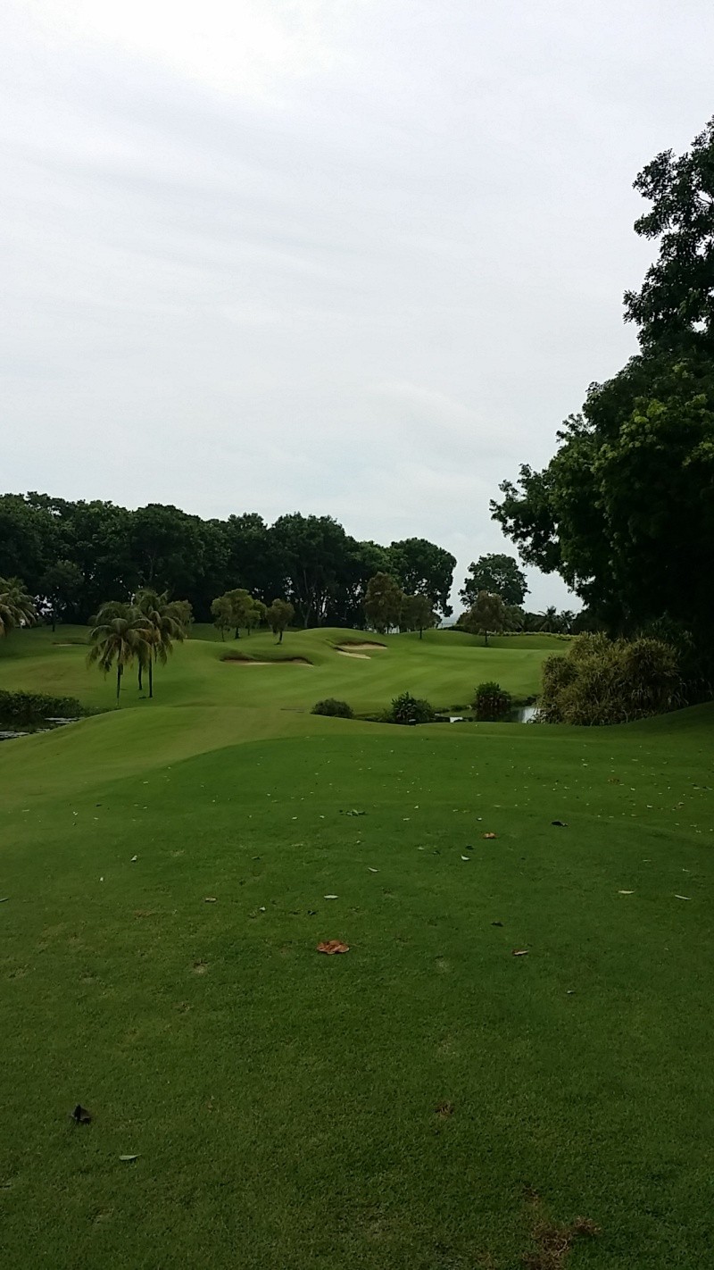 NSRCC Par 3 Executive Course Hole By Hole Guide - Warning Pic Intensive 20140736