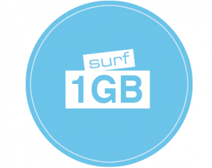 SURFLINE DATA BUNDLE (5MB TO 20MB SPEED ON IDM ) Surf110