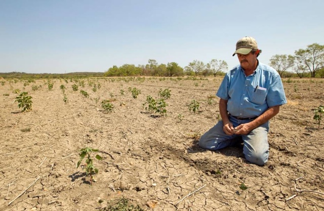 100 Million Could Die From Climate Change By 2030 14014710