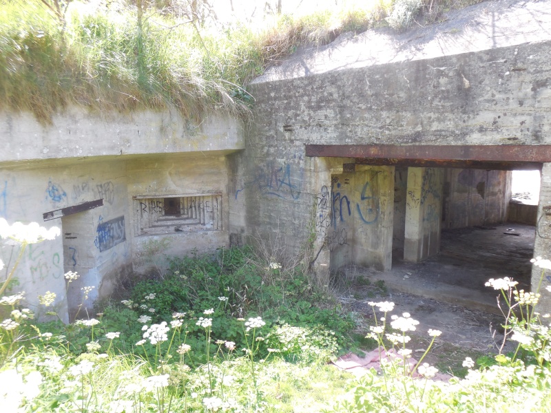 Fortifications de Belle-Ile-en-Mer Dscn0510