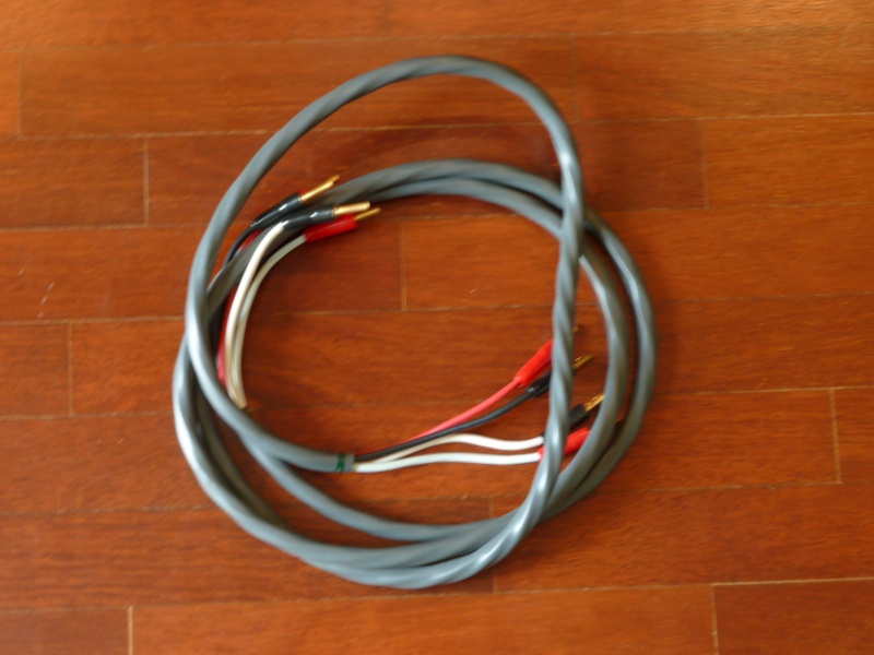 Supra Rondo 4.0x4.0 biwirable speaker cable for sale P1020223