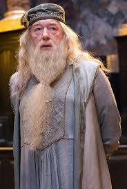 Présentation d'Albus Dumbledore : Directeur de Poudlard. 494a0110
