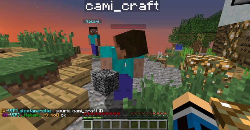 Plainte pour cami_craft 2014-038