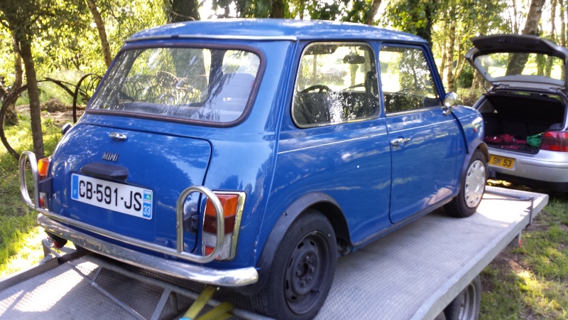 Mini Sealine bleue à Rennes 20140611