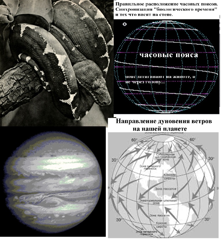 14 Методология познания 00056310