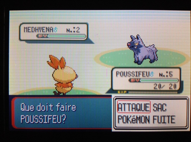 [ShinysHunters' Teams Cup n°8] Rapports et Classements   - Page 6 Poussi10