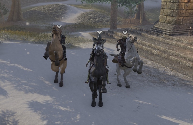 In cyrodil with the pack 3_ride13