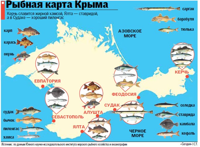 Рыбалка в Ялте и Крыму Imgafb10