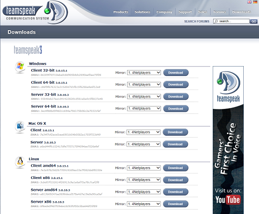 Teamspeak 3 Installation Downlo12