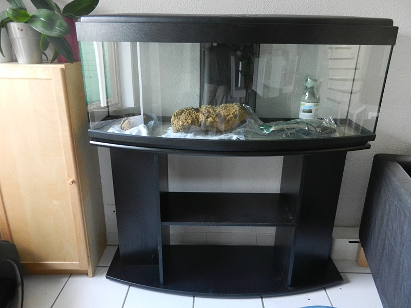 Mon aquarium de A à Z... C'est fini :( Dscn3017