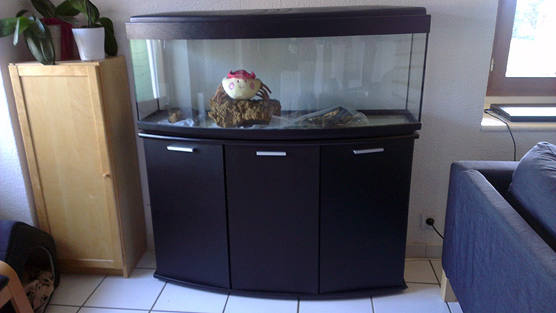 Mon aquarium de A à Z... C'est fini :( Imag2015