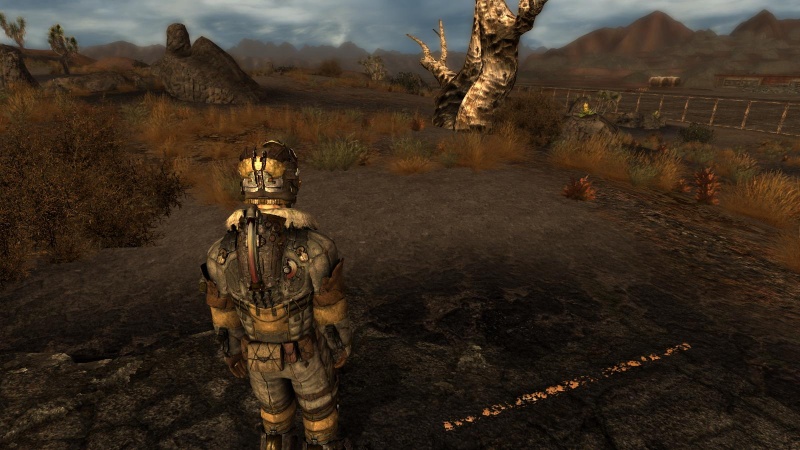 Visual bugs in MW3 Soap africa armor & DS arctic armor Fallou14