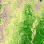 Sử dụng ảnh viễn thám MODIS đánh giá lớp phủ thực vật Overvi10