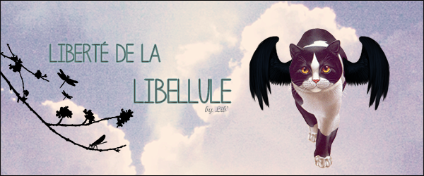 D'une tige et d'une libellule » OUVERT [0/2] Signa10