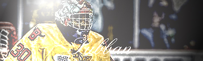 Boston Bruins Msubba10