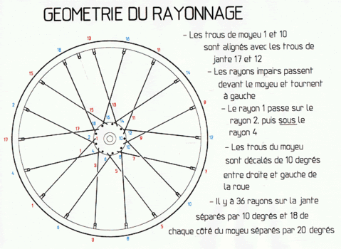 Question Pour Ceux Qui Connaissent Un Peu Les Roues Rayons