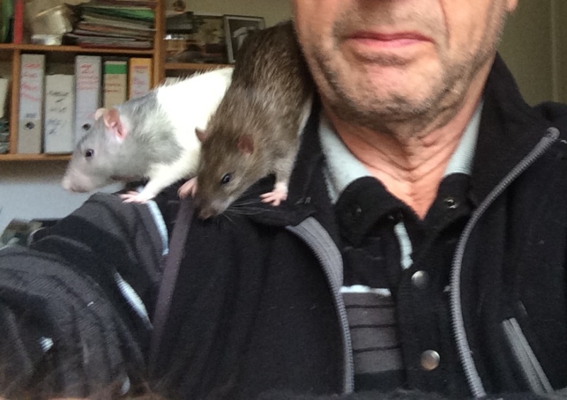 Et voici notre bébé Rat des champs : Ratatouille  - Page 14 Img_4812