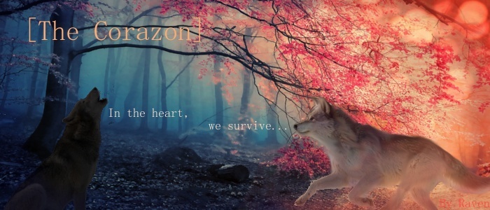 The Corazon - Possible Affiliate? Banner12