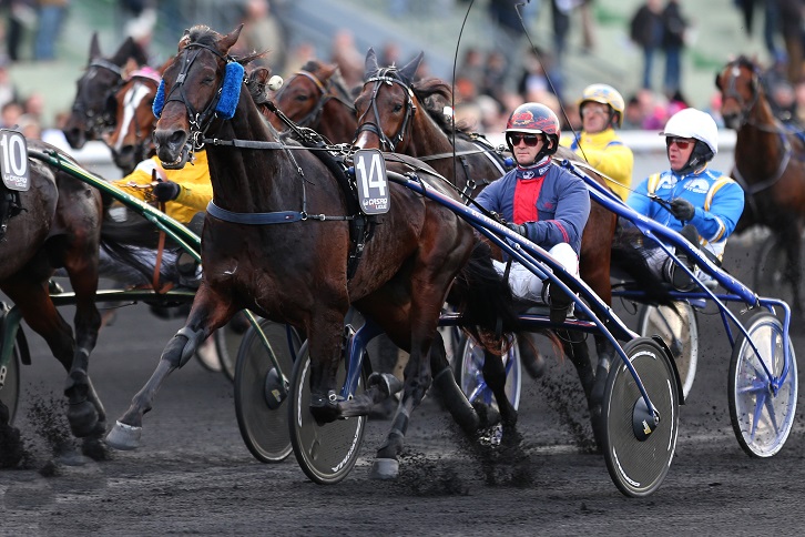 Prix d'Amérique 2015/ Prix de Cornulier Texas-10