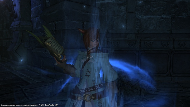 Vos plus beaux screens Ffxiv_39