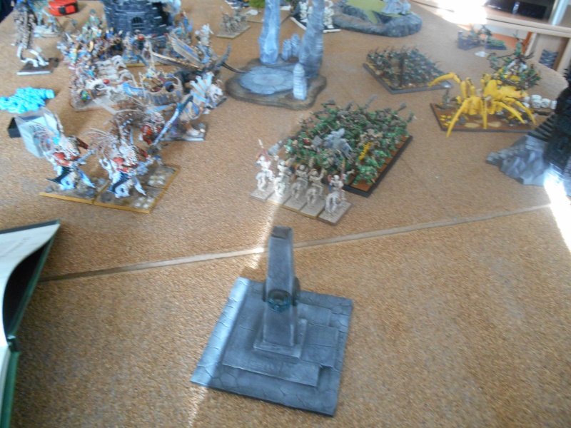 "The End of Times" Arkhan le noir vs Wurzag 3000 pts ! Dscn0215