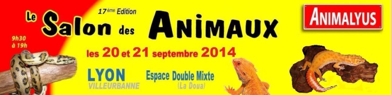 Animalyus 2014 Lyon 20 et 21 septembre 2014 Animal11