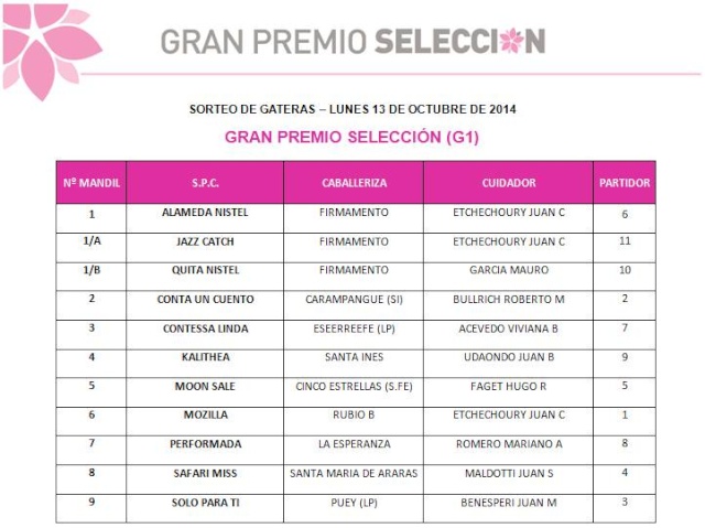 Gran Premio Selección de Potrancas-G1 (2000 m) 10669910