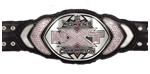 NXT Шампиони Wwe_ch14