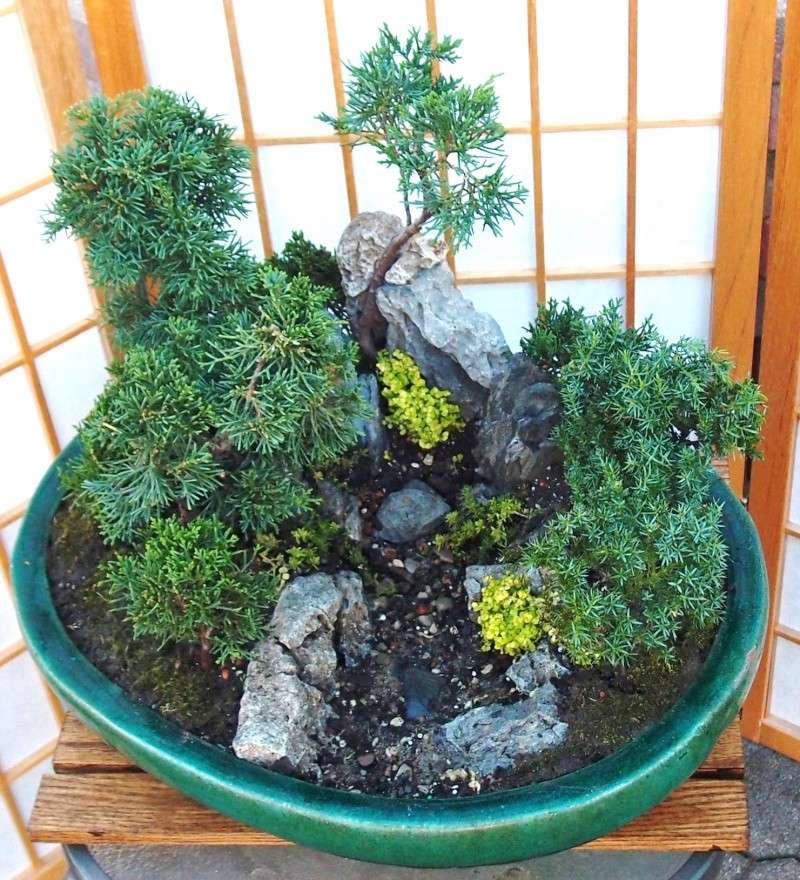 Continuation of the Continuation of Penjing or Saikei thread...New Pics. New_pe12